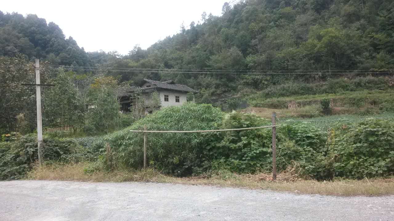 循环利用 让废弃矿山变身“金山银山”